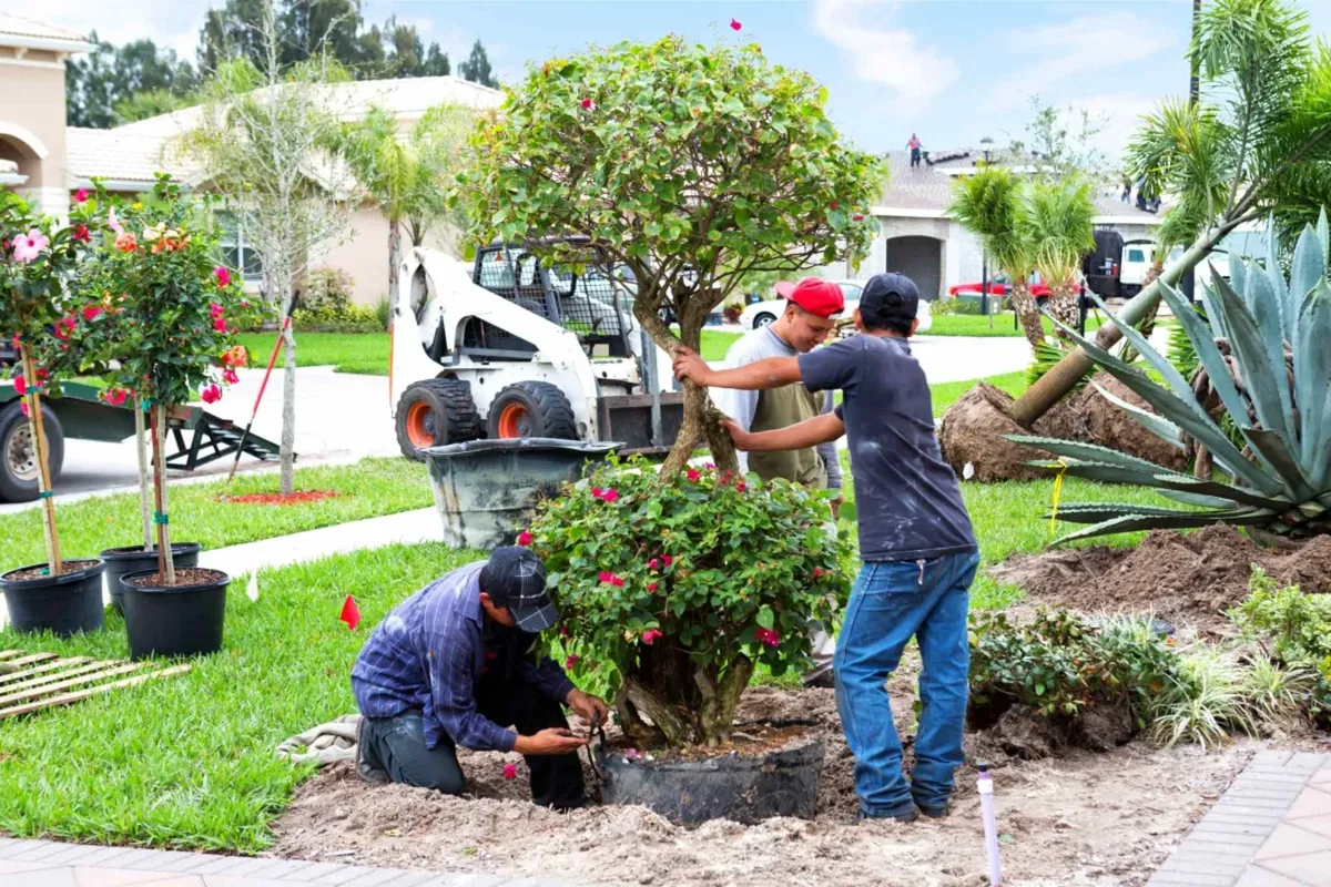 Skilled Team with Practical Expertise